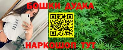 молекула духа Будённовск