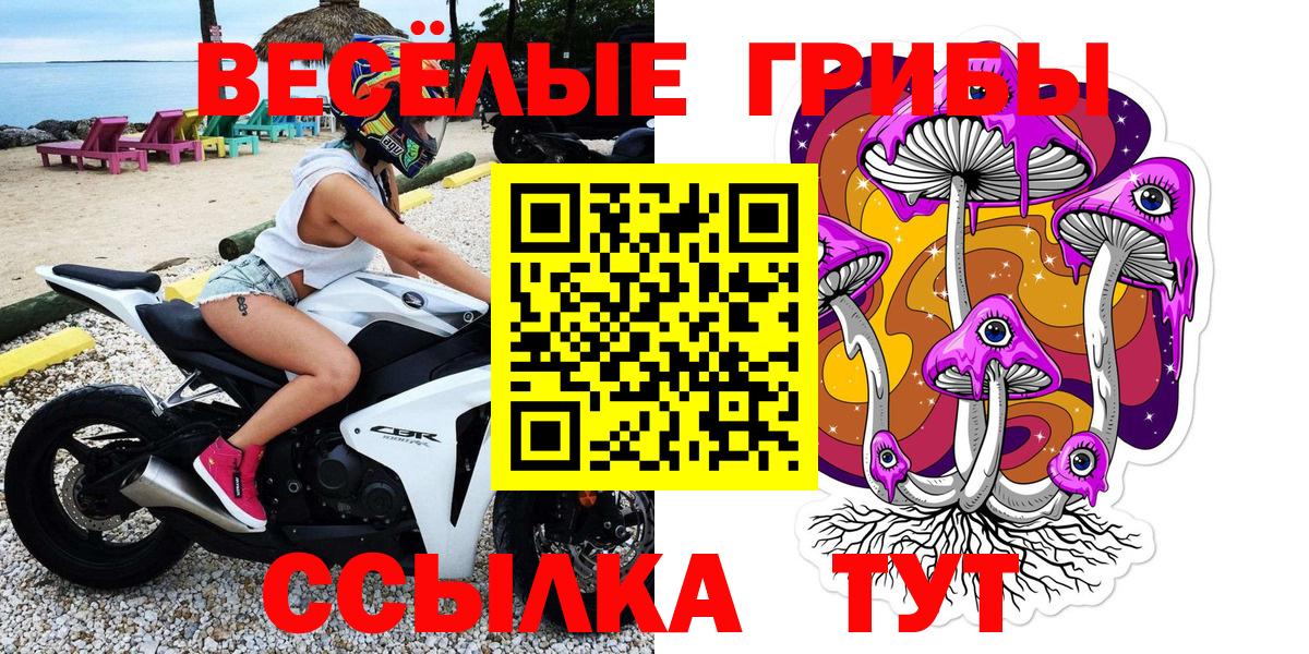 Галлюциногенные грибы Psilocybine cubensis Менделеевск